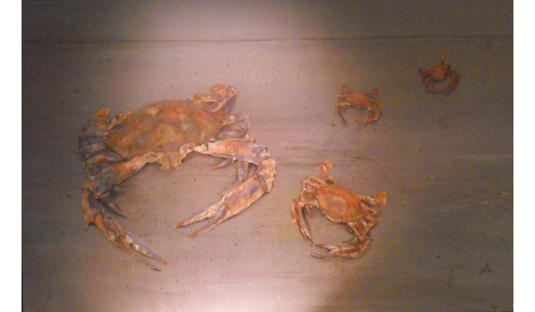 Les crabes de Kribi